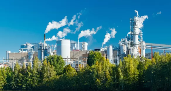 gases for pulp & paper